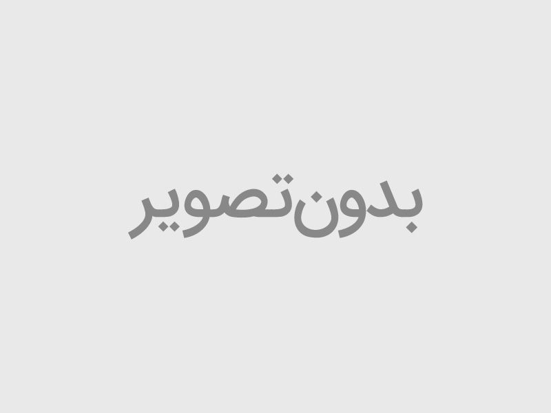 ادویه سرکه نمکی(مخصوص پفیلا)