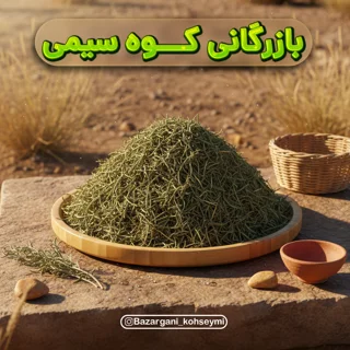 سراگونا