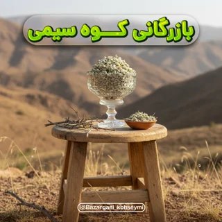 مور تلخ