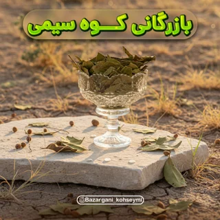 برگ بو خارجی