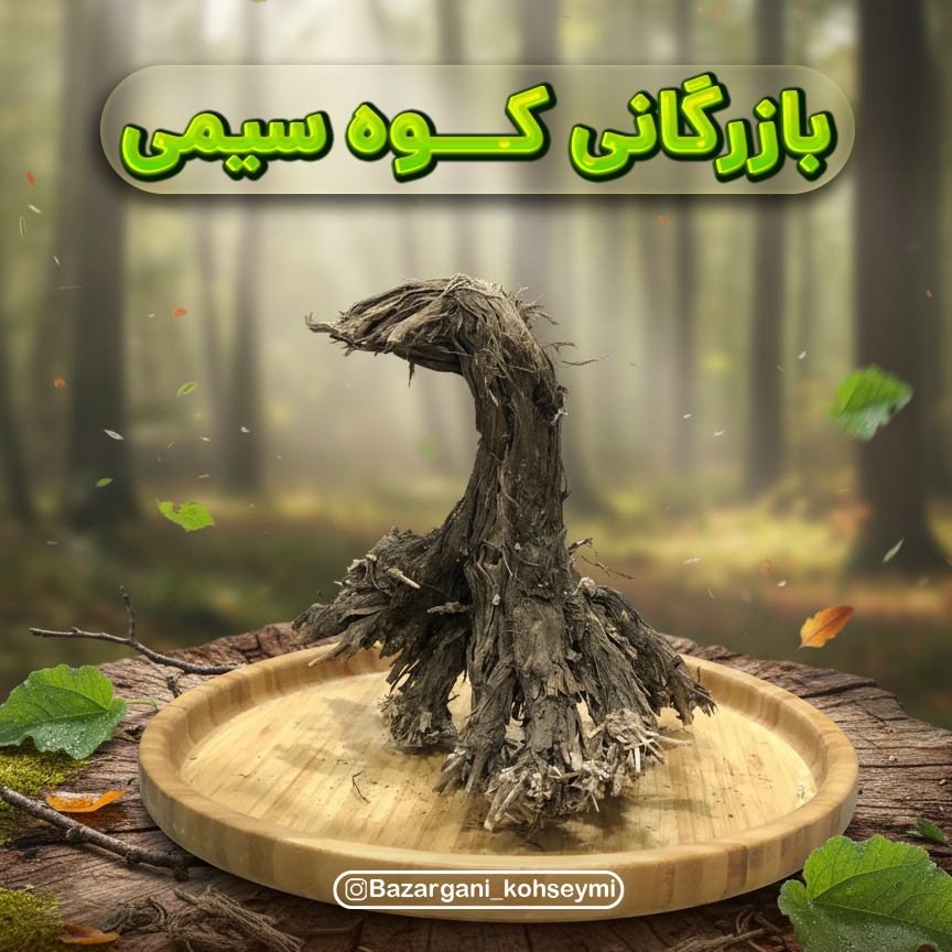 ریشه بابا آدم