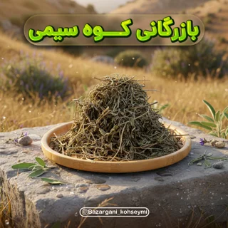 برگ کاسنی