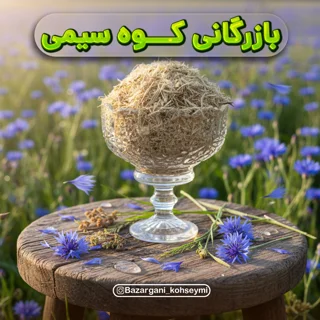 گل گندم